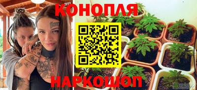 крисы Краснознаменск