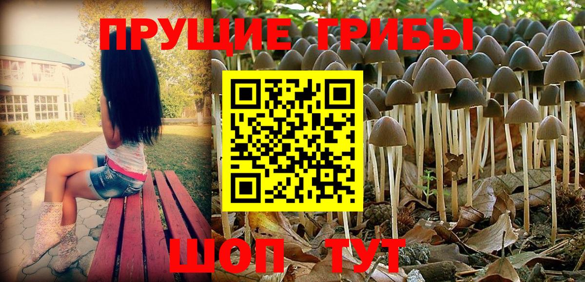 Галлюциногенные грибы MAGIC MUSHROOMS Элиста
